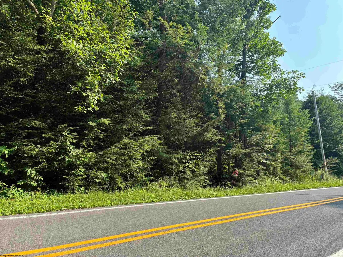 Lot B Woolen Mills Road, Albright, WV 26519 - #1