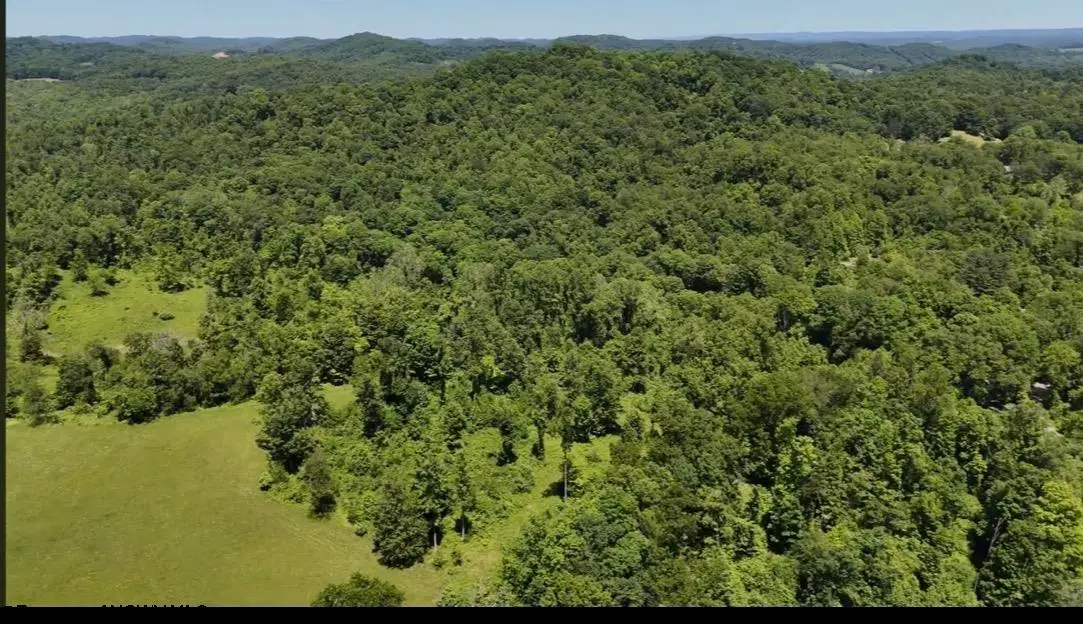 TBD Ices Run, Fairmont, WV 26554 - #1
