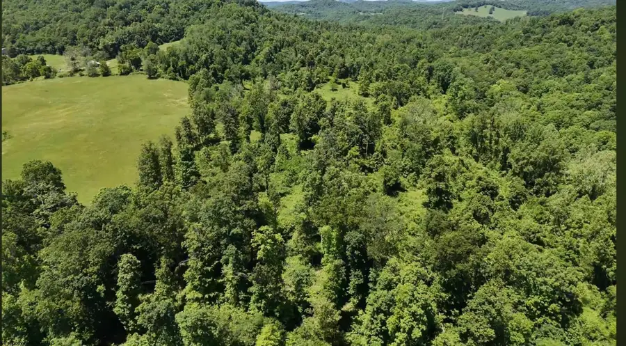 TBD Ices Run, Fairmont, WV 26554 - #2