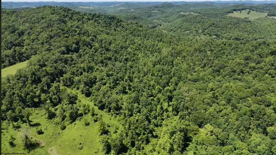 TBD Ices Run, Fairmont, WV 26554 - #3