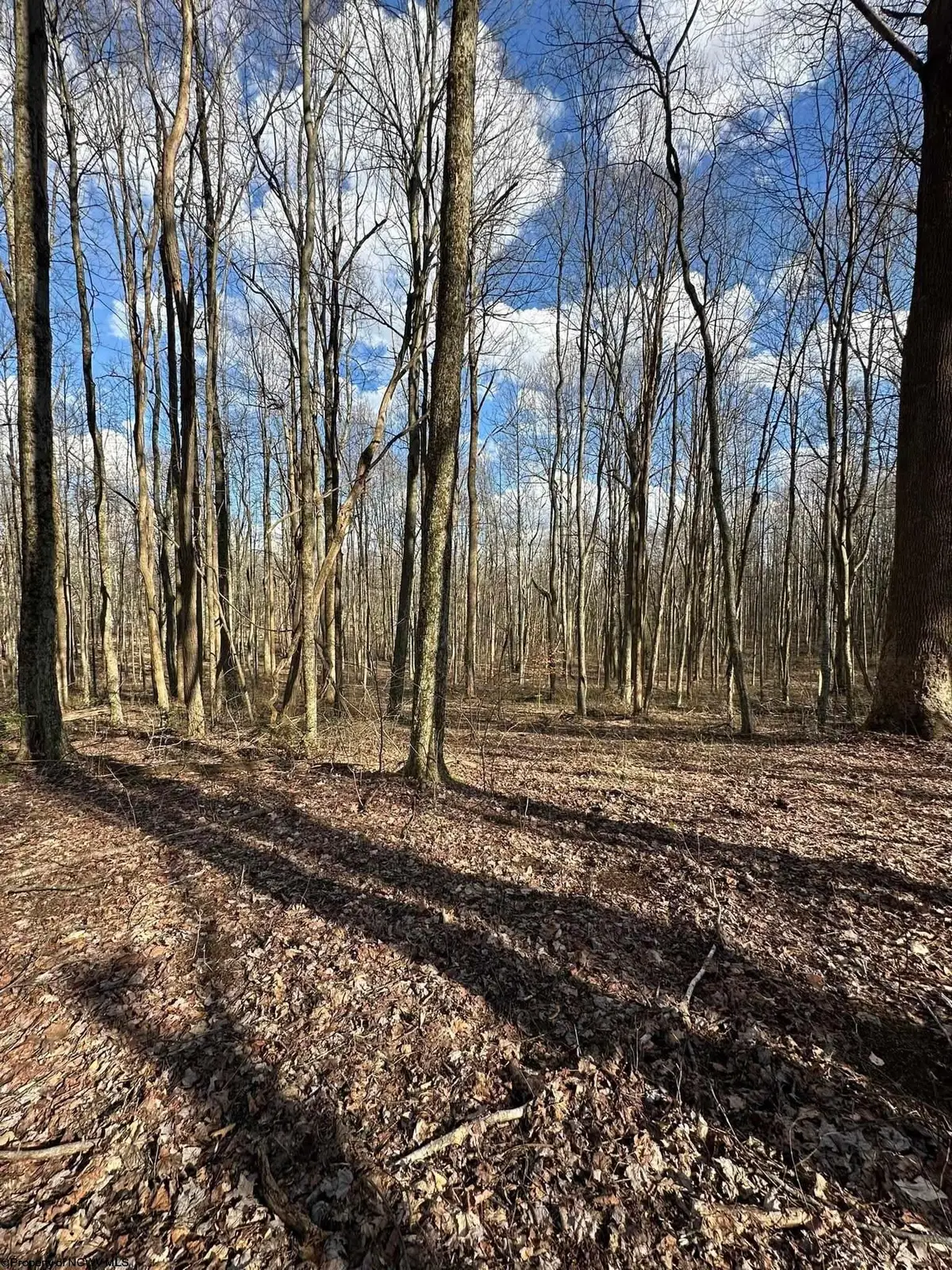 1870 Ludwig Road, Grafton, WV 26354 - #1