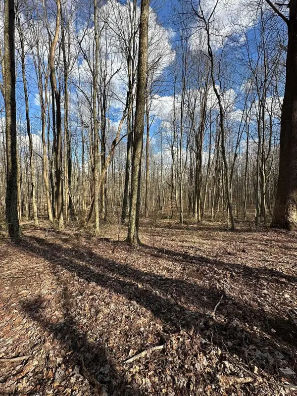1870 Ludwig Road, Grafton, WV 26354