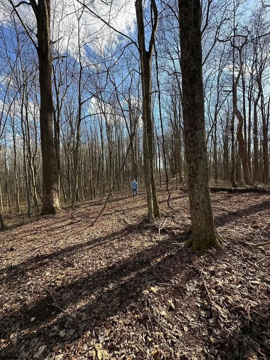 1870 Ludwig Road, Grafton, WV 26354 - #3