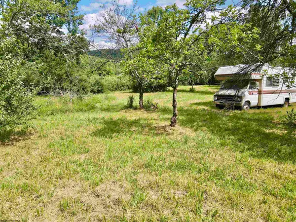 TBD O'Brian Road, Duck, WV 25063