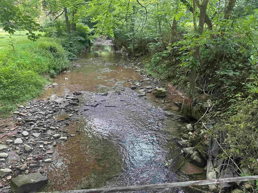 165 Main Street, Rivesville, WV 26588 - #2