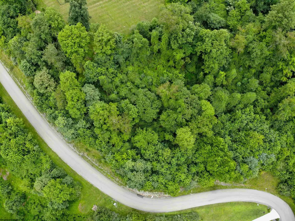 Lot 3 & 4 David Daniels Drive, Fairmont, WV 26554 - #1