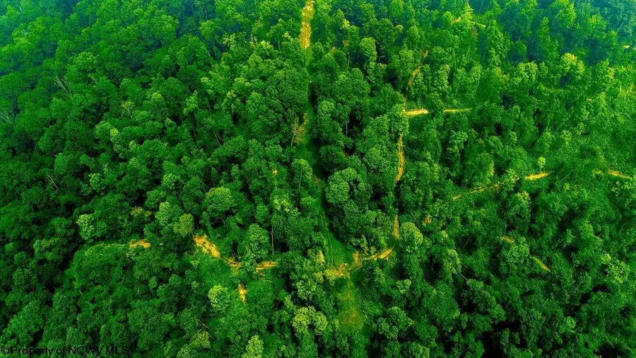 000 Bices Run Road, Enterprise, WV 26568 - #2
