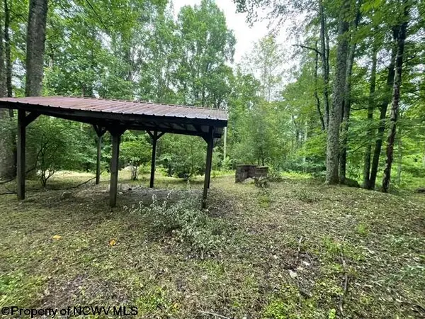 1099 Five Fork Hill Road, Newburg, WV 26410-9713