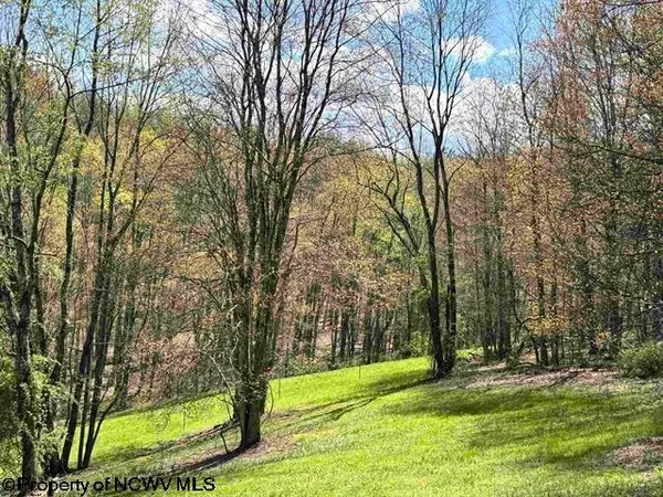 TBD Porterfield Road, Philippi, WV 26416