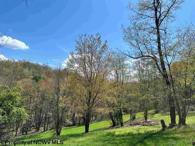 TBD Porterfield Road, Philippi, WV 26416 - #2