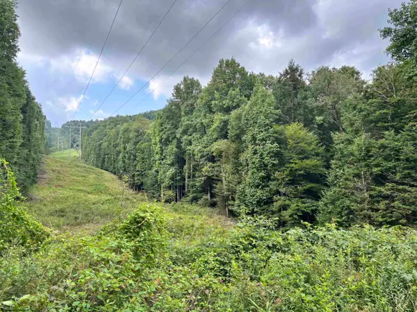 469 Karlan Road, Pickens, WV 26230