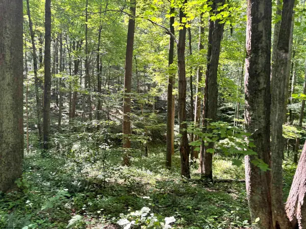 110 Danner Road, Belington, WV 26250