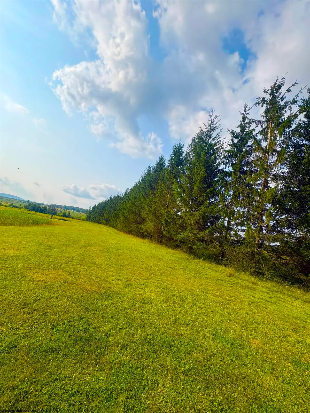 Lot 14 Katy Lane, Davis, WV 26260 - #1