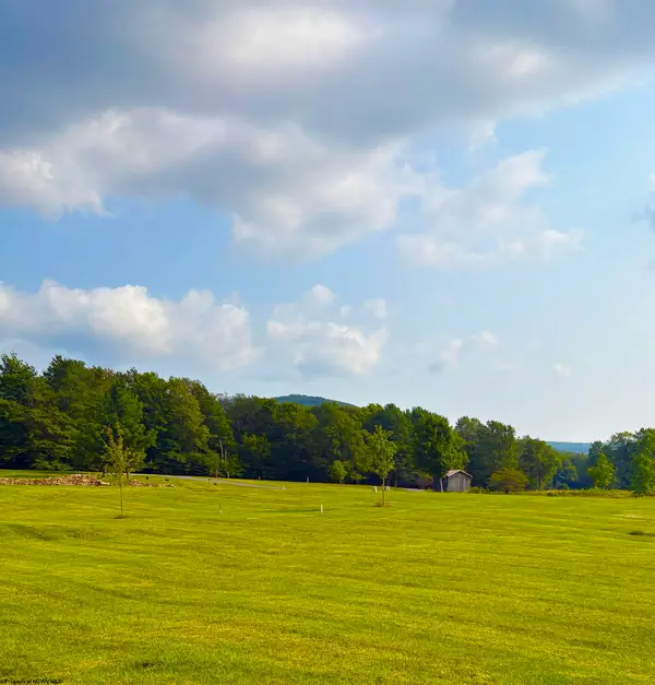Lot 29 Katy Lane, Davis, WV 26260