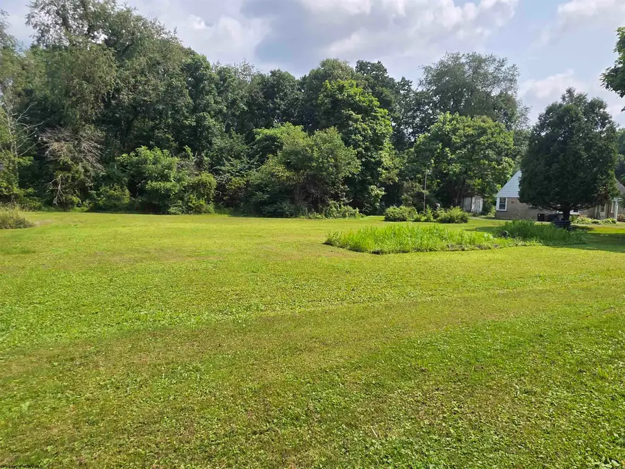 79 Y Road, Arthurdale, WV 26520 - #2
