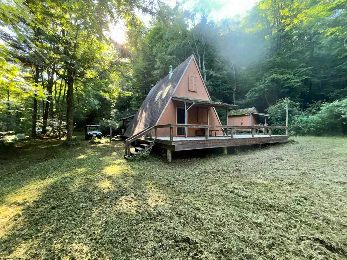 TBD Clover Run Road, Parsons, WV 26287 - #1