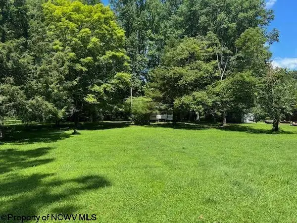 TBD Brooklyn Heights Road, Parsons, WV 26287