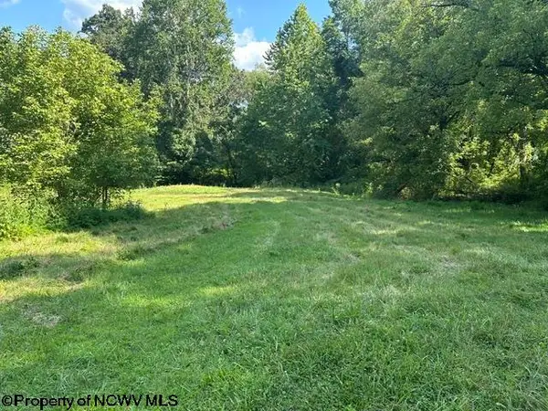 TBD Route 19 Highway, Lost Creek, WV 26385