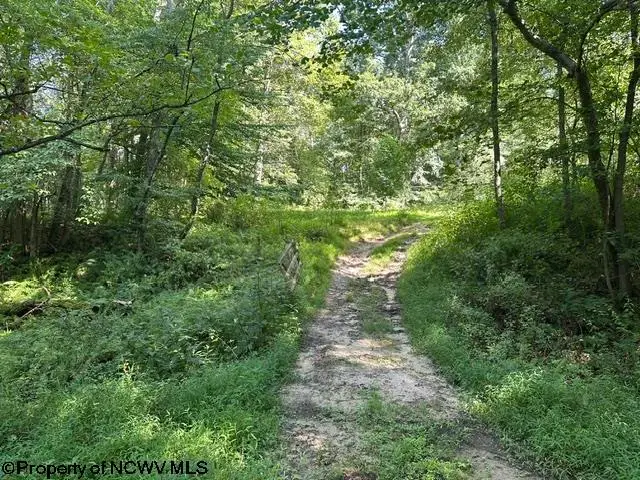 TBD Route 19 Highway, Lost Creek, WV 26385 - #2