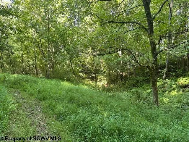TBD Route 19 Highway, Lost Creek, WV 26385 - #3
