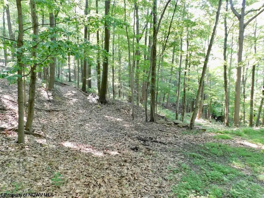 Lot 27 Dove Drive, Morgantown, WV 26508 - #3