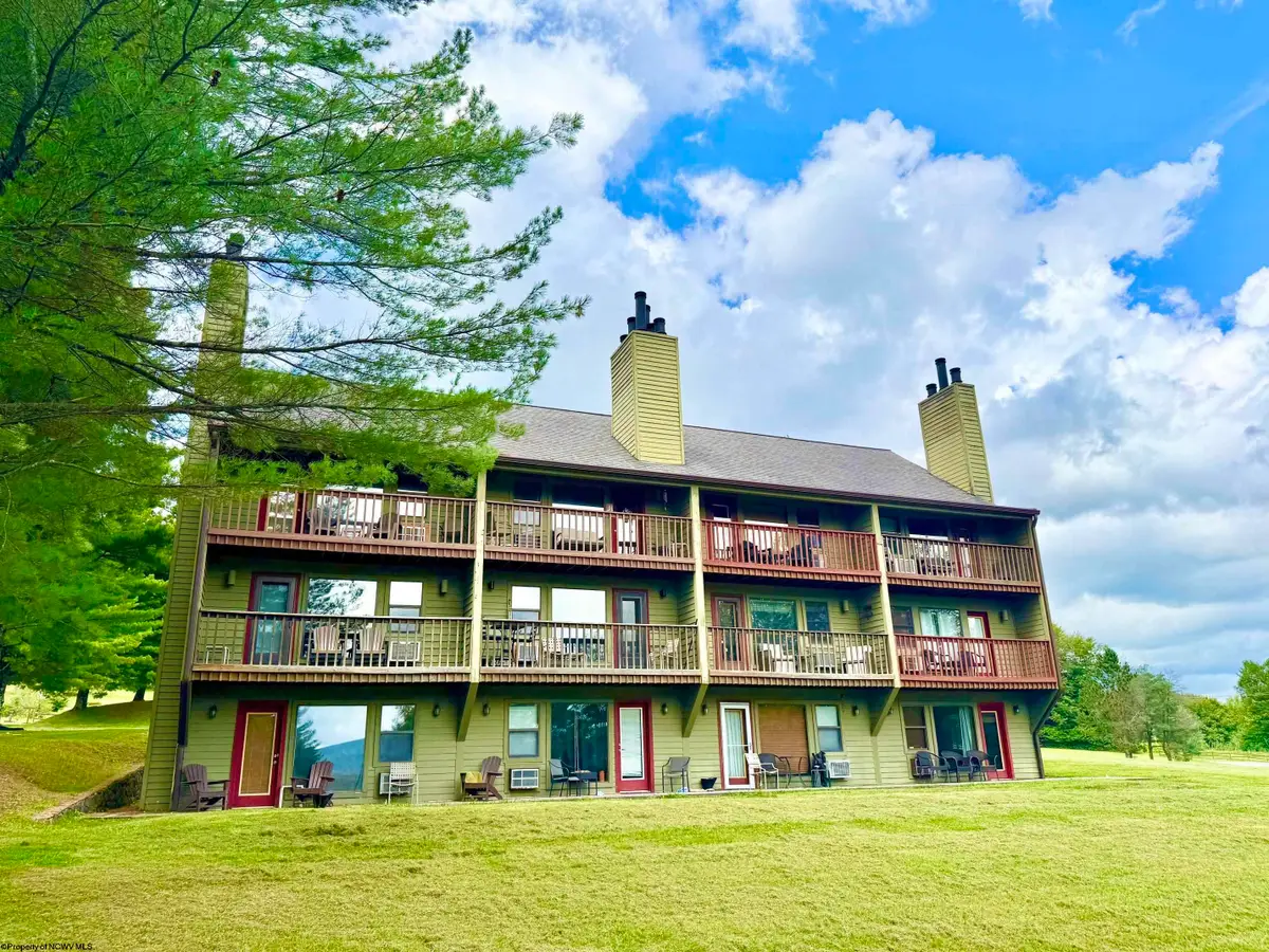 121 Grizzly Way, Davis, WV 26260 - #1