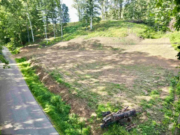 TBD McChord Run Road, Walkersville, WV 26447