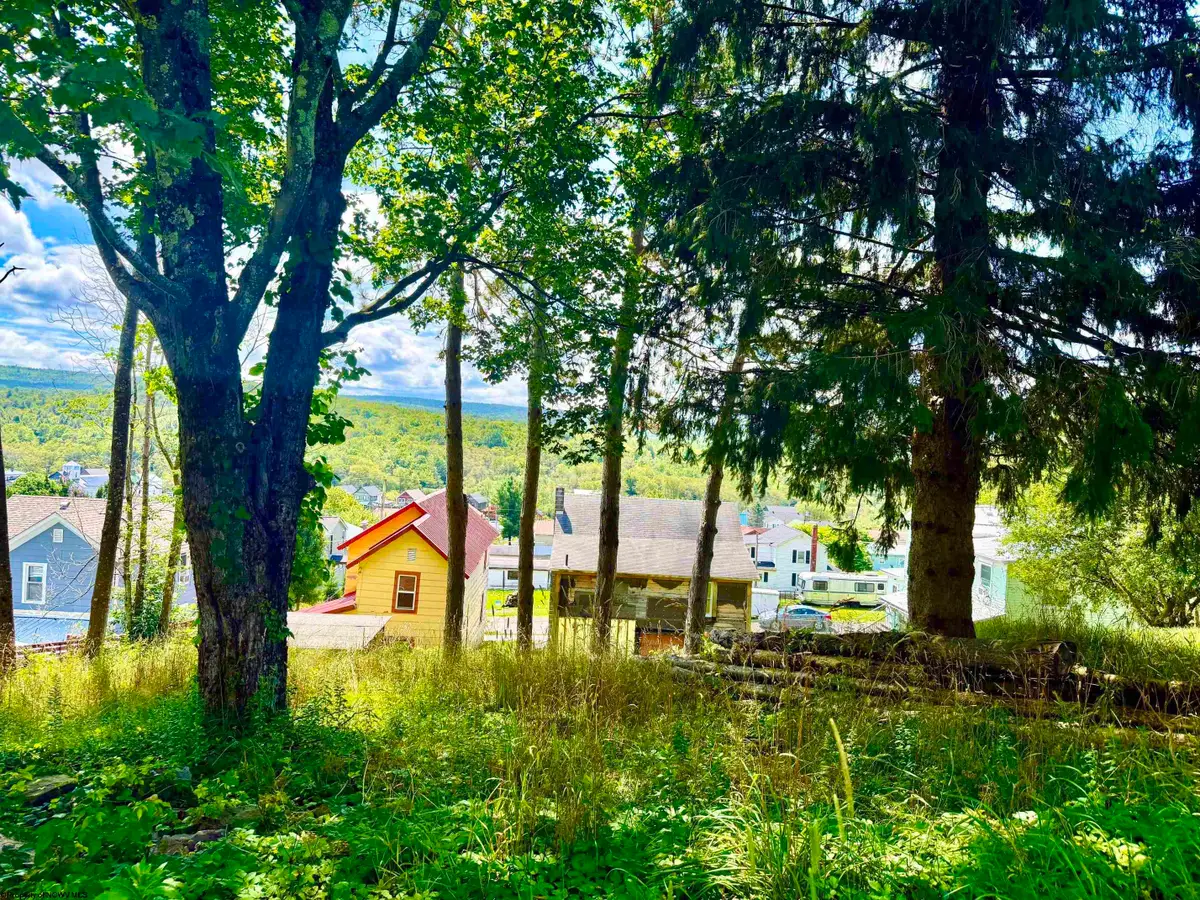 Lot 7 Groundhog Alley, Davis, WV 26260-0000 - #1