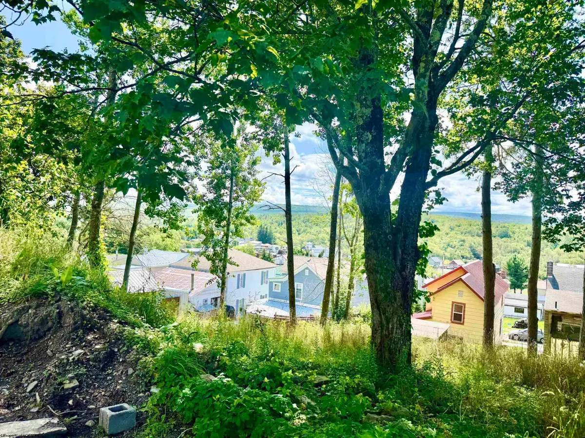 Lot 5 Groundhog Alley, Davis, WV 26260-0000 - #1