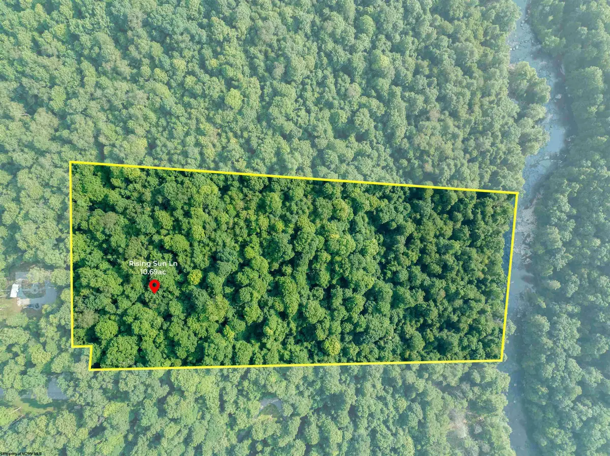 TBD Rising Sun Lane, Bruceton Mills, WV 26525 - #1
