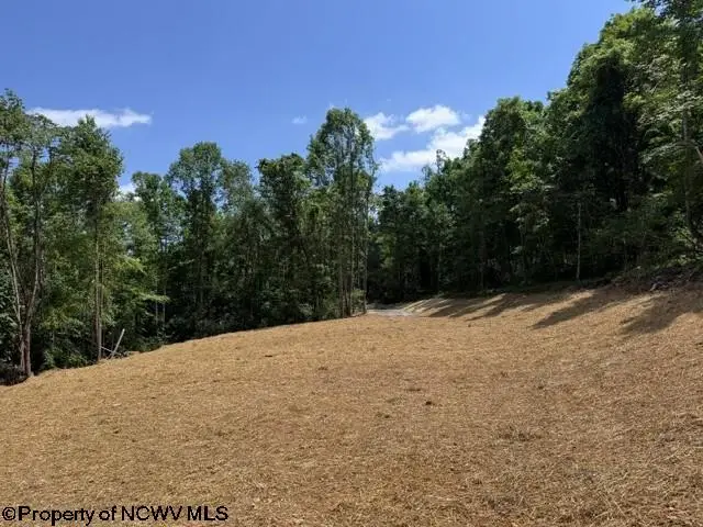 TBD River Road, Junior, WV 26275 - #1