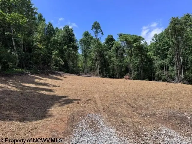 TBD River Road, Junior, WV 26275 - #2