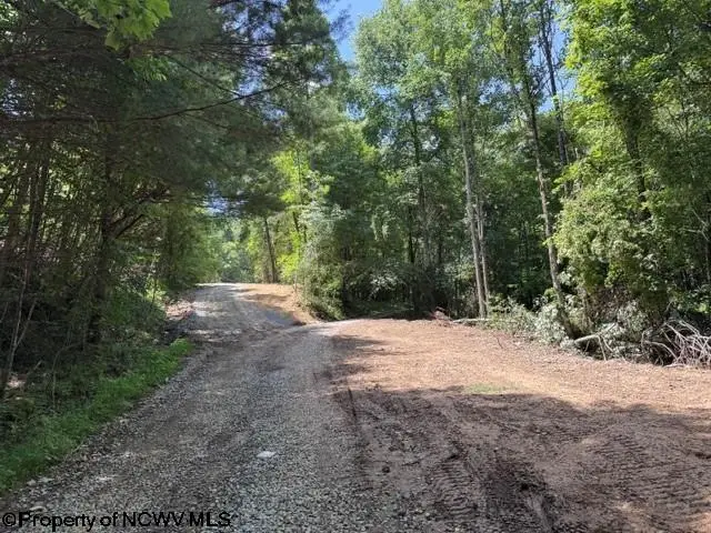 TBD River Road, Junior, WV 26275 - #3