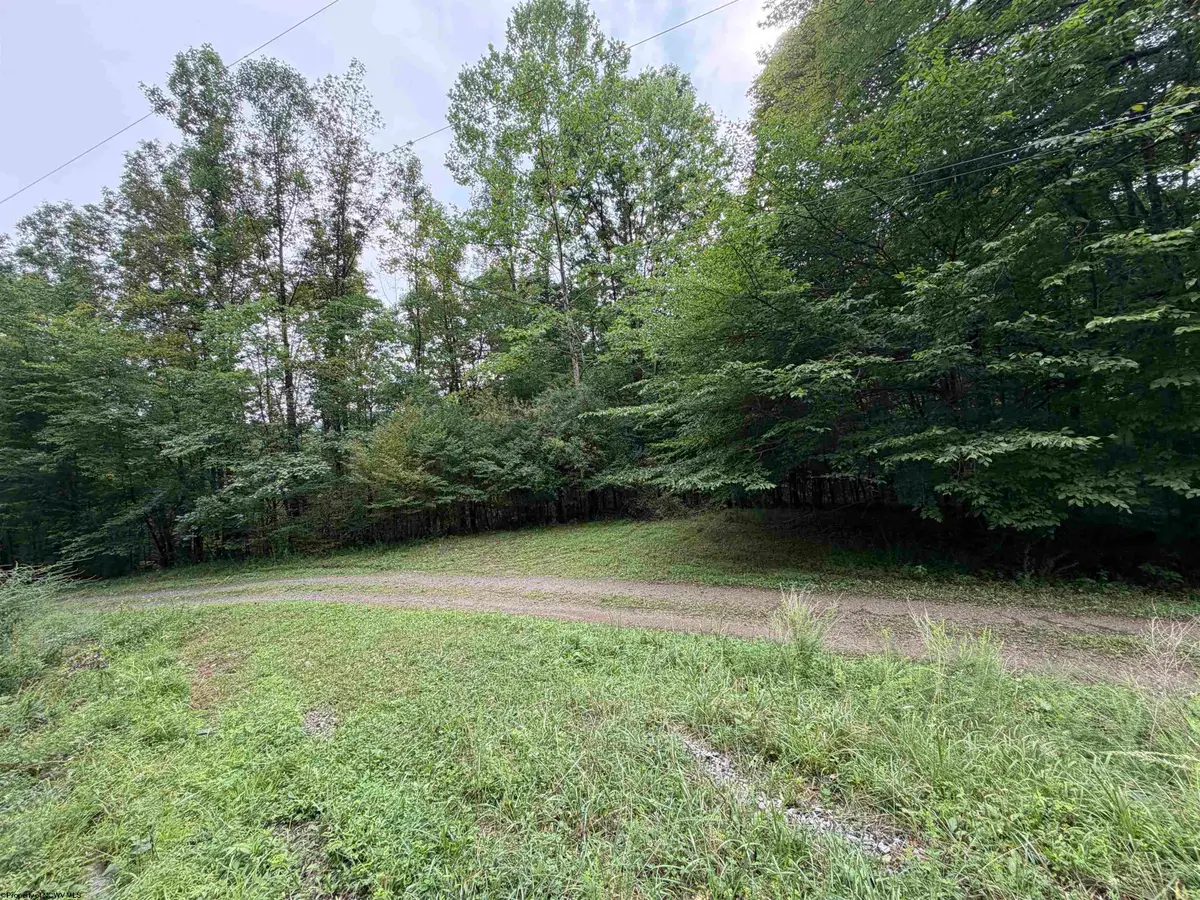 00 Copley Road, Weston, WV 26452 - #1