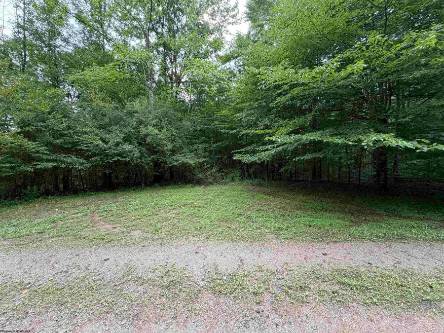 00 Copley Road, Weston, WV 26452 - #3