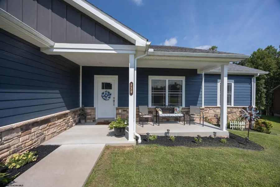 230 Frisco Lane, Bridgeport, WV 26330 - #3