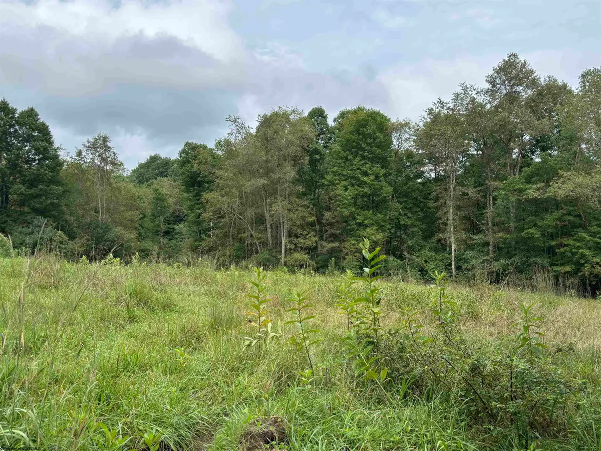 96 Donnie Hill Road, Belington, WV 26250 - #1