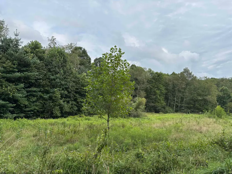 96 Donnie Hill Road, Belington, WV 26250 - #3