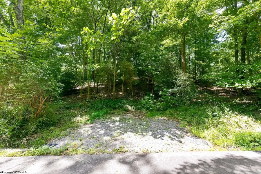 TBD DES MOINES Avenue, Morgantown, WV 26505 - #2