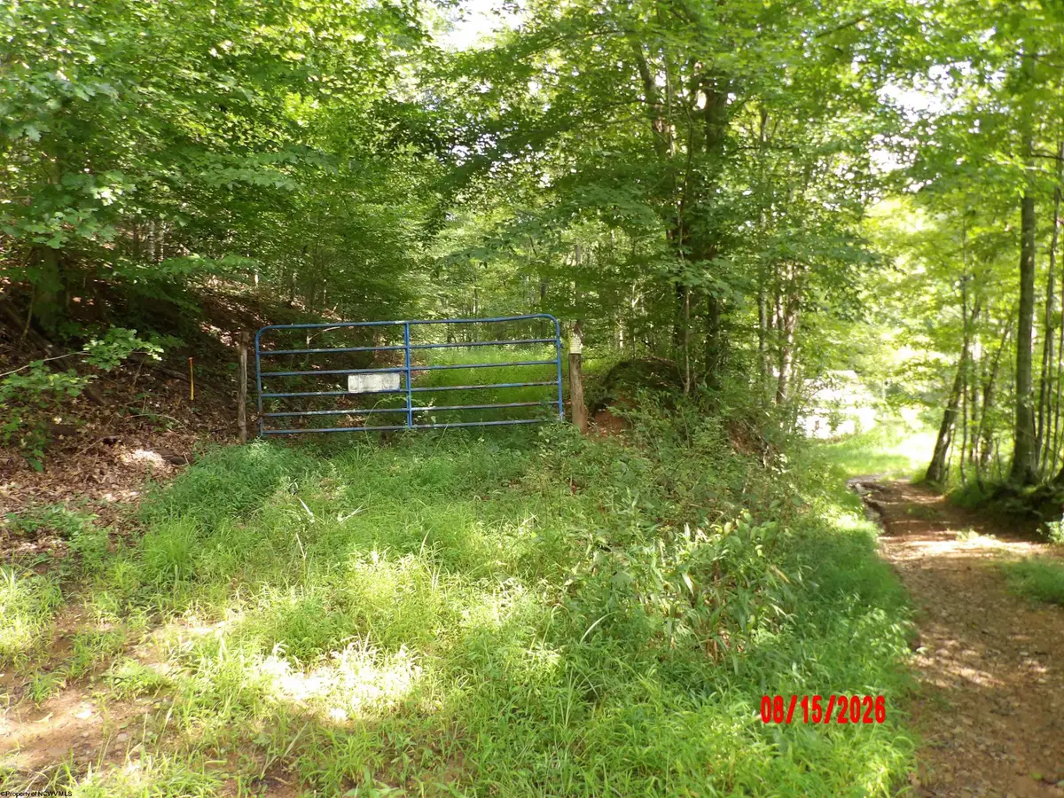 941 Sammy Run, Courthouse Collins Settlement, WV 26447 - #1