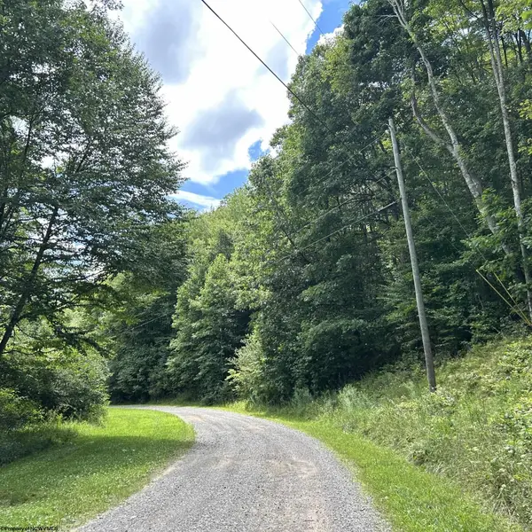 TBD Big Bend Drive, Kingwood, WV 26537