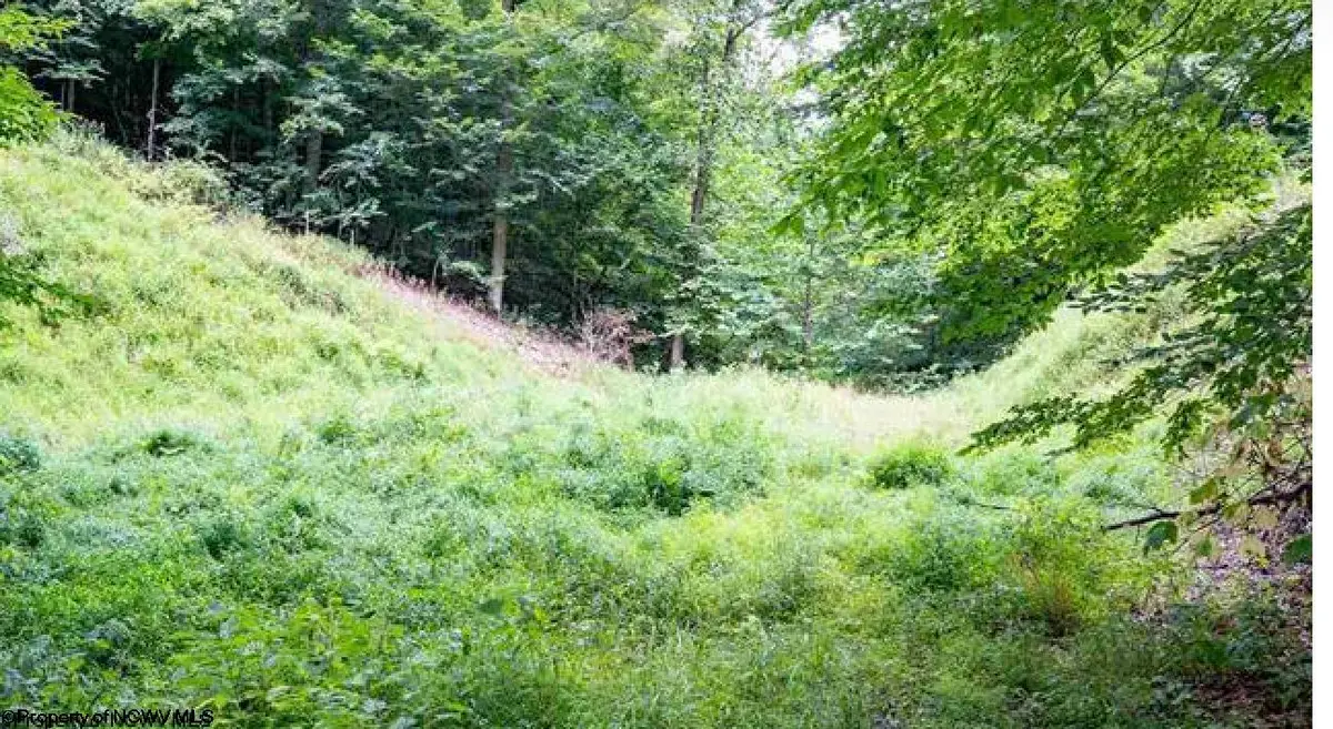 TBD Yellow House Lane, Elkins, WV 26241 - #1