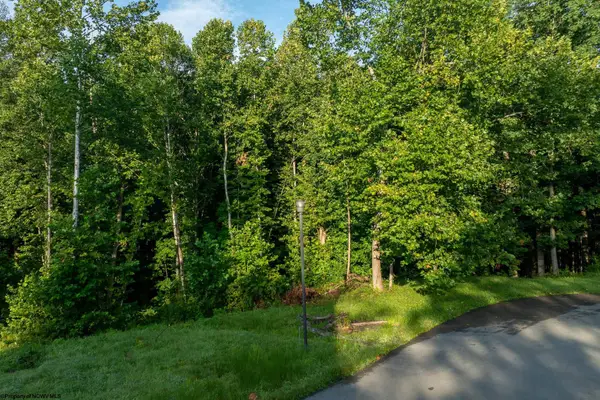 247 Coventry Drive, Bridgeport, WV 26330