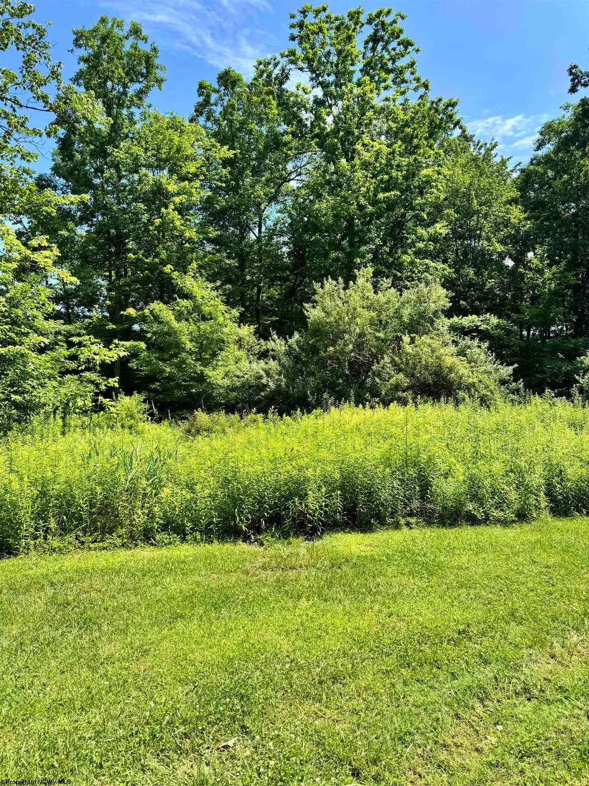 TBD Woodview Drive, Bruceton Mills, WV 26525 - #1