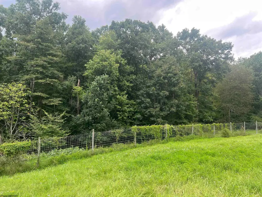 TBD Derico Road, Buckhannon, WV 26201 - #3