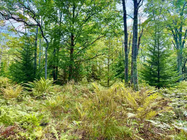 Lot 9 Chickadee Drive, Davis, WV 26260-0000