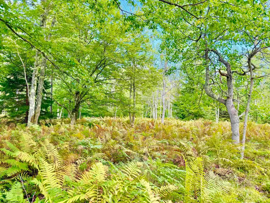 Lot 9 Chickadee Drive, Davis, WV 26260-0000 - #2