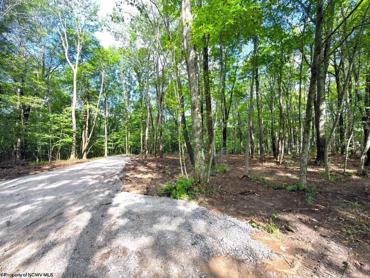 1261 Beaver Creek Drive, Bruceton Mills, WV 26525 - #1