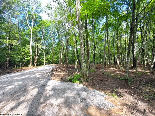 1261 Beaver Creek Drive, Bruceton Mills, WV 26525