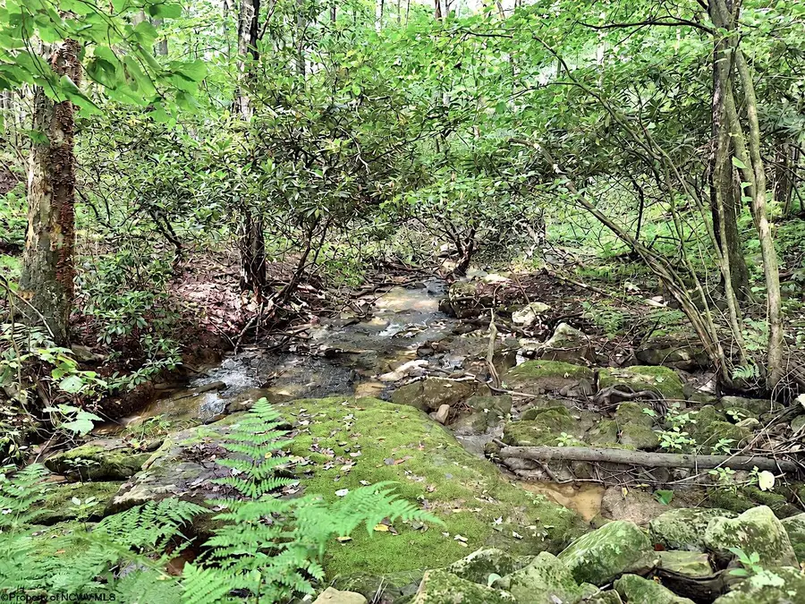 1261 Beaver Creek Drive, Bruceton Mills, WV 26525 - #2